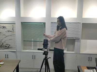 小窗簾撬動大產業，電商連通致富路——窗飾產業的興旺發展與電商轉型之路